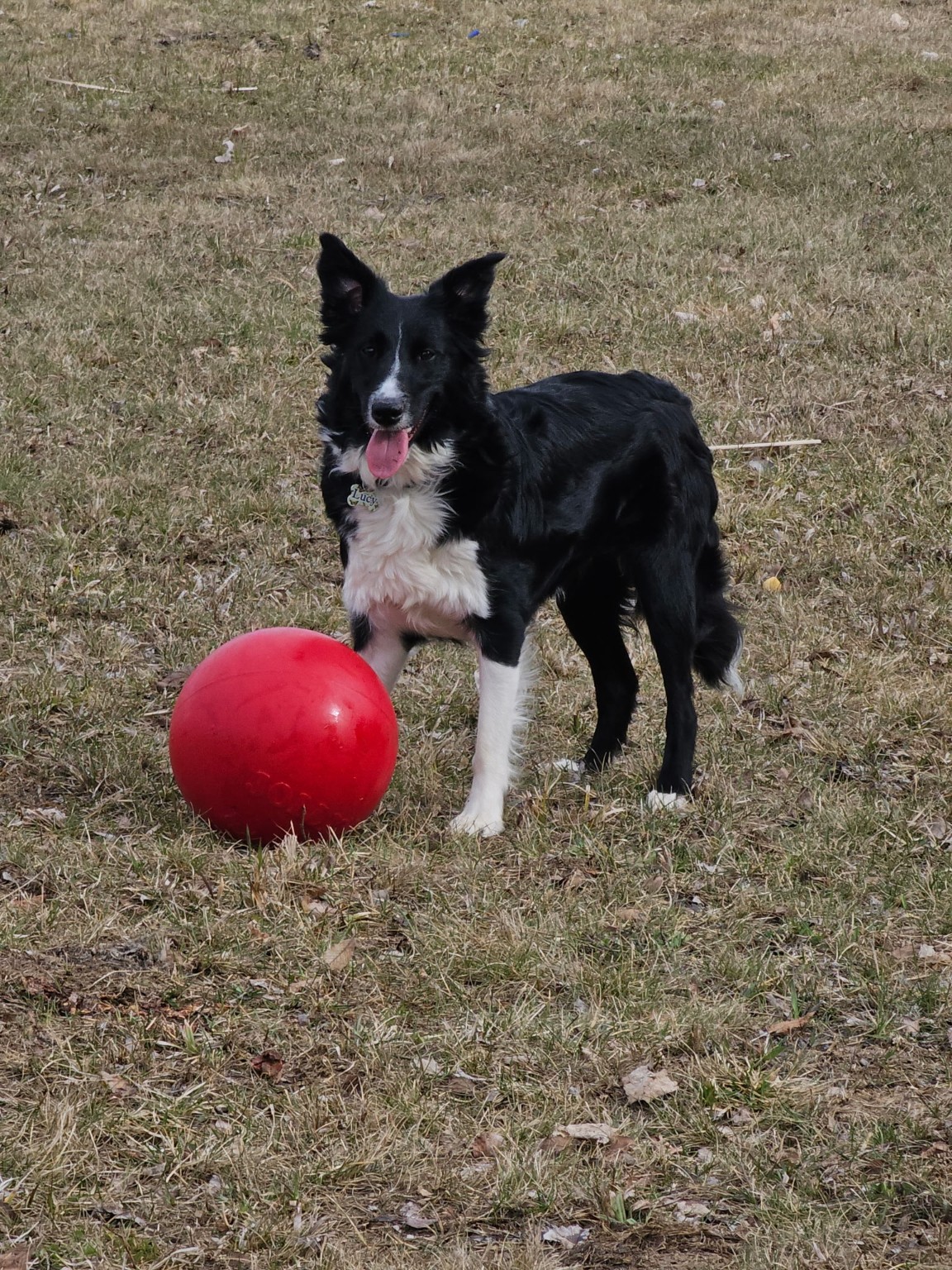 Lucy standing beside a giant red ball